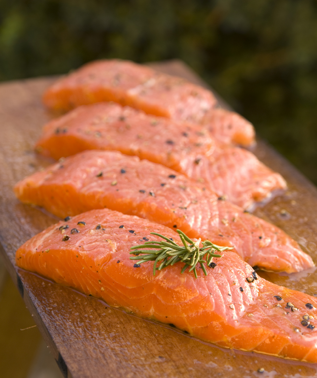 salmonfillets