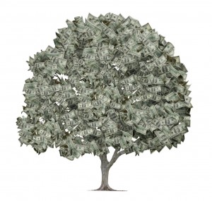 money-tree